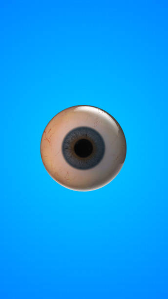 istock Human internal organ of eye 2174334444