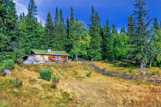 Härjedalen, Sweden-October, 2021: