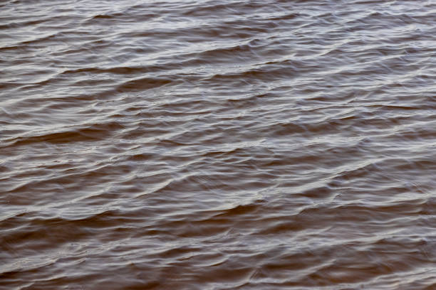 istock dark muddy lake water in winter without snow 2174335130