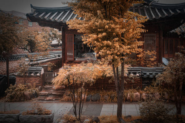 A picturesque scene of a traditional Korean Hanok house surrounded by vibrant autumn foliage. The warm hues of the season complement the timeless architecture, creating a harmonious and serene cultural landscape.