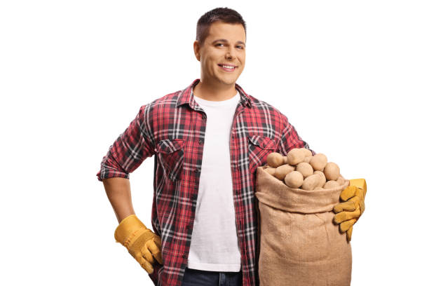 istock Young farmer holding potatoes in a sack 2174338576