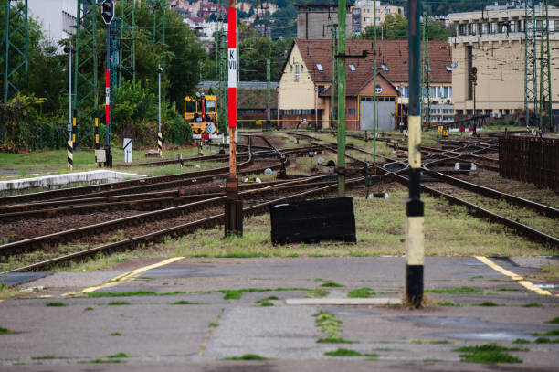 istock Multiple railway tracks in a green landscape 2174341738