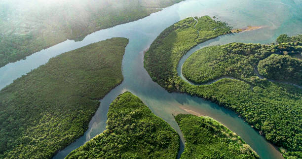 istock Amami island mountains, rivers and sea 2174349797