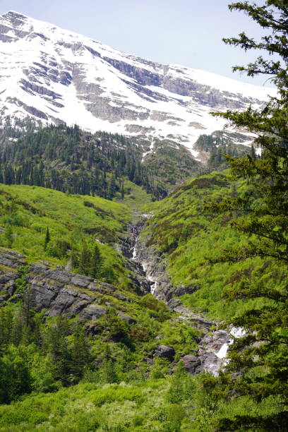 istock 2024 Glacier nation park area 2174351229