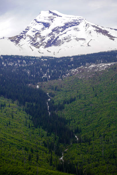 Photos from 2024; glacier national park, waterfalls, Heavens peak, The great northern mountain, the aurora borealis, Belton peak, and Hungry Horse reservoir