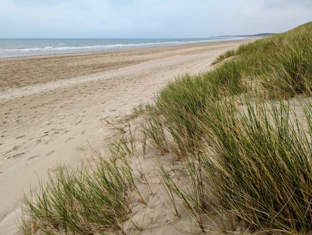 istock Ballinesker beach, Wexford, Ireland 2174352221