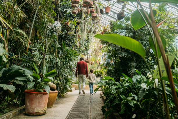 Boy and father walking inside green house