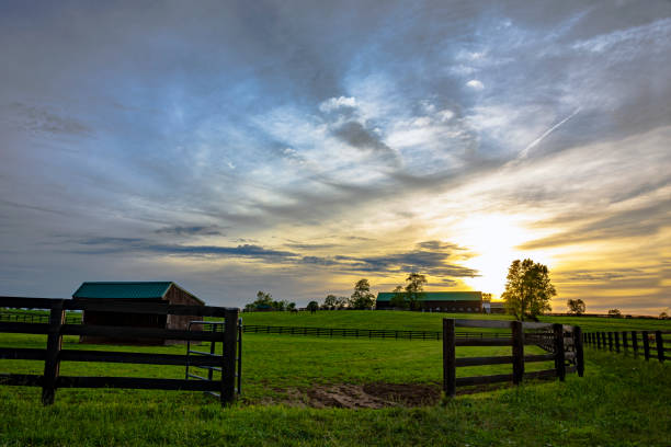 istock Kentucky horse farm sunset landscape 2174356760
