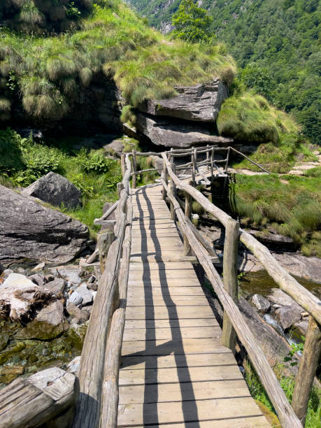 istock a wooden bridge over a stream 2174358718