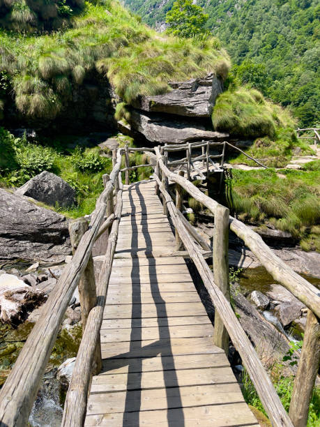 istock a wooden bridge over a stream 2174358767