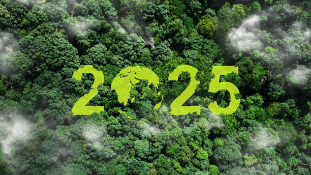 istock Sustainable Environment Development Goals, 2025 symbol on green grass in the forest.New Goals, Plans, and Visions for Next Year 2025. business planning business growth 2025, ESG, green business. 2174358822