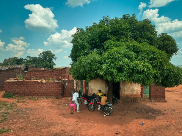 Luanda, Angola - May 17, 2024: A group of people gathers under a sprawling tree in a rural Angolan village engaged in conversation and relaxing near their motorcycles on a warm day.
