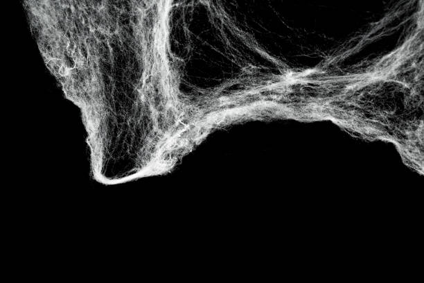 istock Spooky creepy cobweb spiders web covered a black background. Abstract halloween background. 2174366660