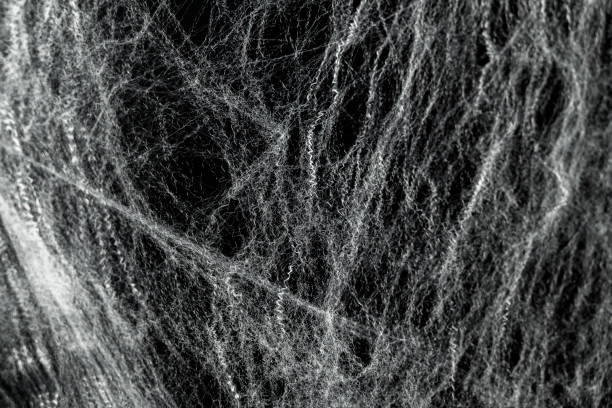 istock Spooky creepy cobweb spiders web covered a black background. Abstract halloween background. 2174366743