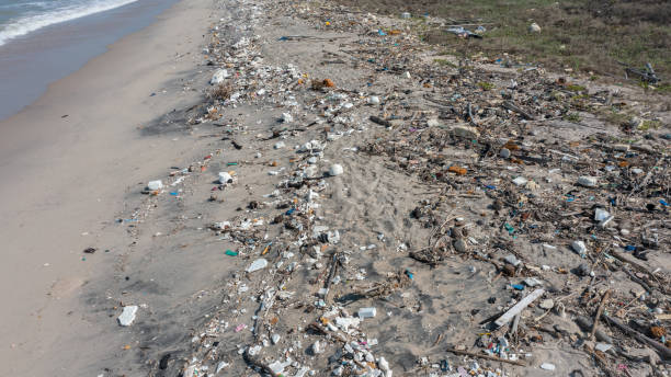istock Many trash in the beach. Beach pollution. Micro plastic, EPS Foam. 2174368784