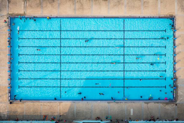 istock Aerial view, group of swimmers training in swimming pool. 2174369081
