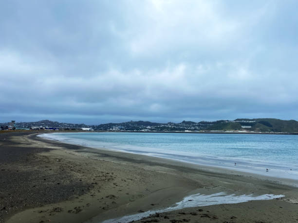 Overcast Beach Scene at Lyall Bay, Wellington