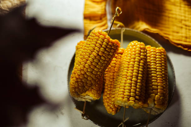 sweet corn on cob cut in half boiled cooked served on plate in warm autumn fall colors