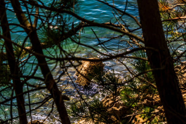 Landscape in Cies Islands, Galicia, Spain.