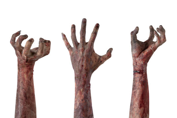 istock Set of zombie hands with a bloody wound. Zombie, devil, evil, satan, or monster hands isolated over a white background 2174372432