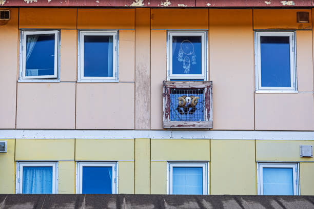 Qaqortoq, Julianehåb, Greenland, Denmark - August 17th 2024: Facade of an apartment building with a scull of a muskox and a dreamcatcher in the window
