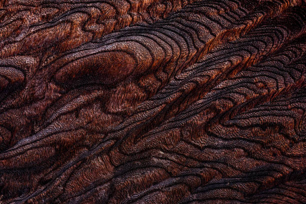 istock Beautiful wood grain. Wood background. Wood grain pattern texture backgrounds 2174376965