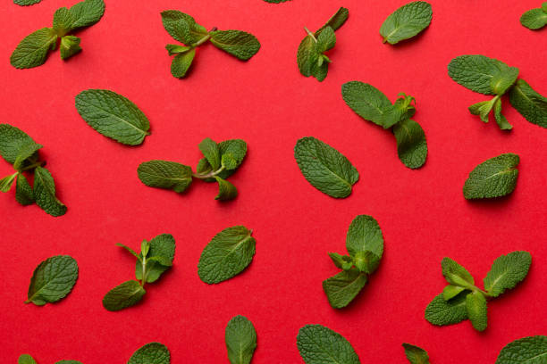istock Fresh green mint leaves on white background, Mint leaves pattern Top view with copy space 2174378778