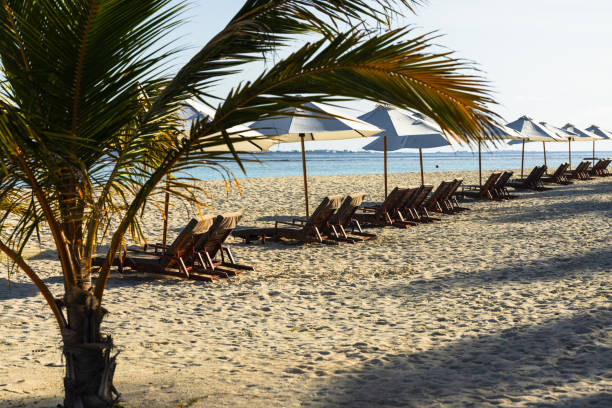 istock Deck chairs lined up in pairs on a tropical beach 2174379979