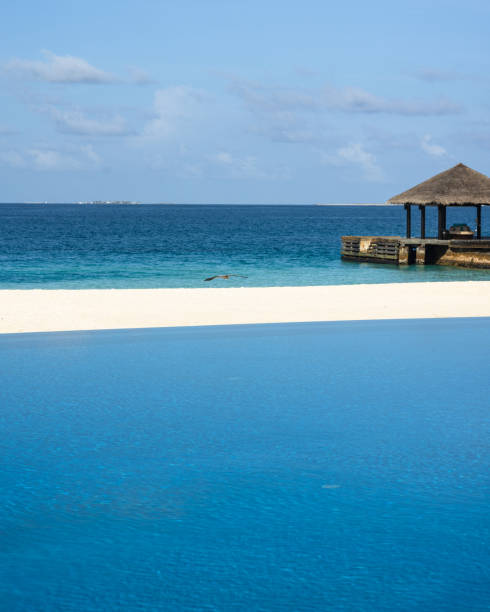 istock Flying bird and reception pier at a tourist resort 2174380288