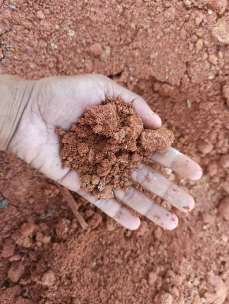 istock photo of hands holding soil, hands and soil 2174381100