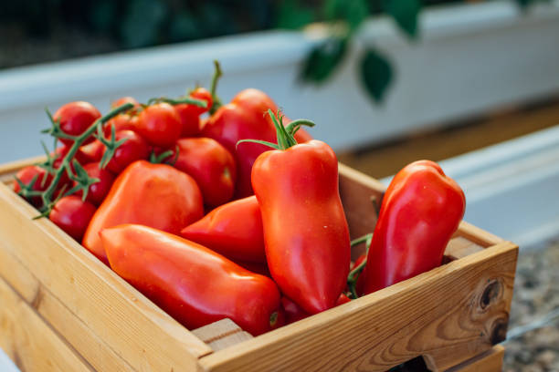 Top view of many tomatoes