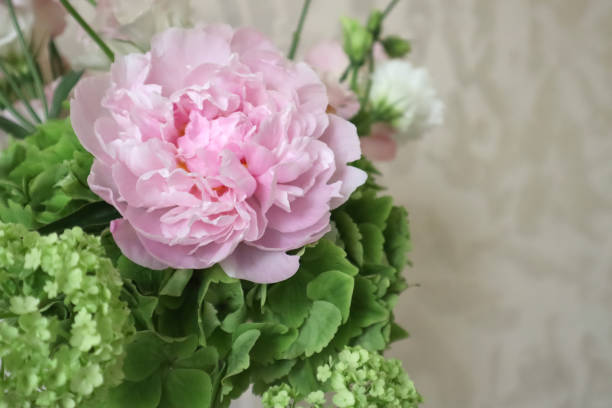 istock Gently bpuquet of flowers with hydrangea, peony, viburnum and eustomas. 2174394335