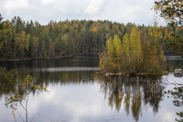 istock Nordic forest lake island. 2174395243
