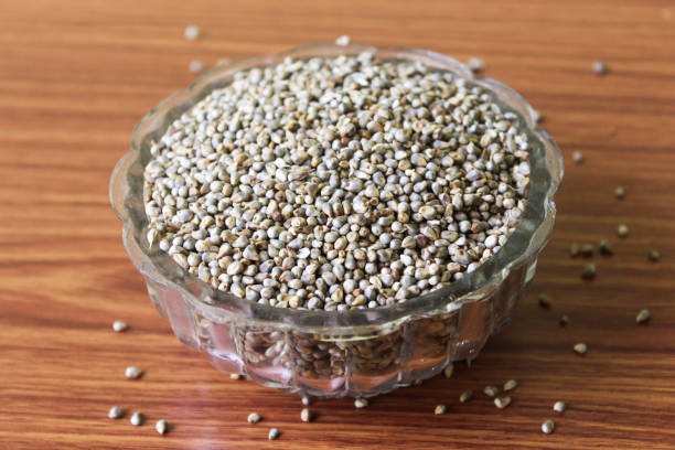 istock Organic Pearl Millet Bajra 2174398755