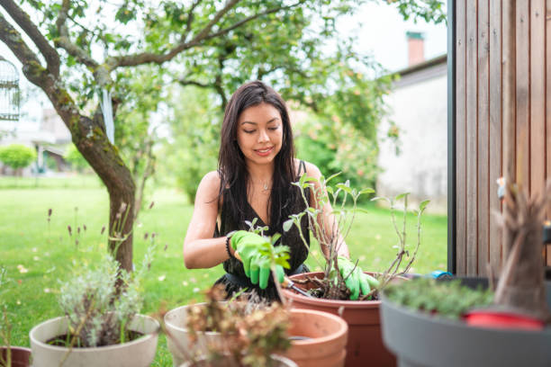 istock Hispanic Woman Gardening in Her Backyard 2174400407