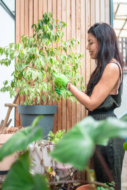 istock Hispanic Woman Gardening at Home 2174400421