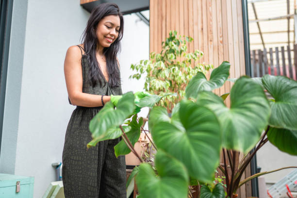 istock Hispanic Woman Caring for Garden Plants 2174400660
