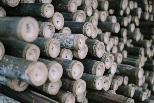istock Bundle of bamboo sticks prepared for sale, perfect for various building projects 2174402535