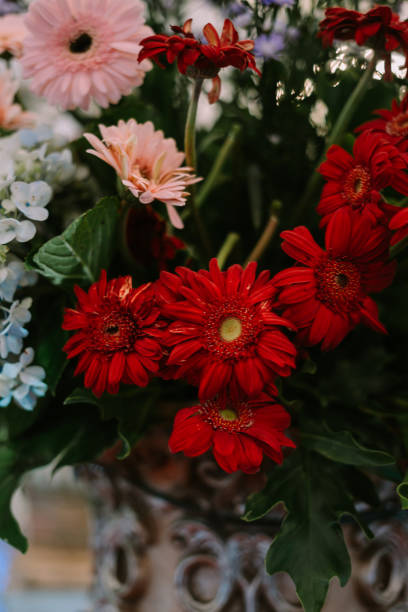 istock Wedding flowers arranged in a decorative display, providing a touch of elegance 2174402862
