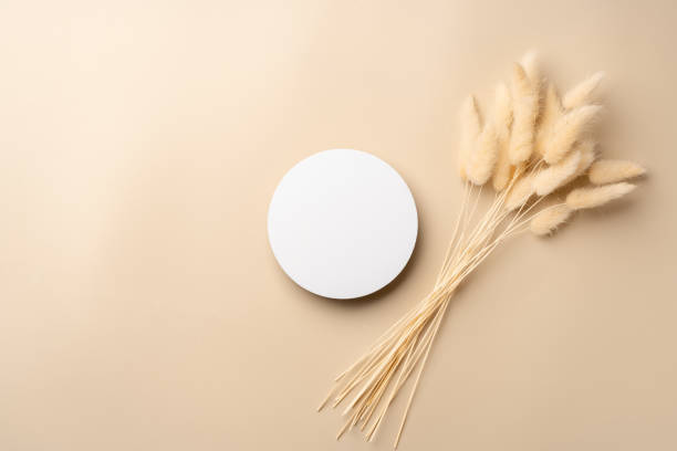 istock Beautiful Arrangement of Dried Grass and Circular Object on Soft Beige Background 2174404699