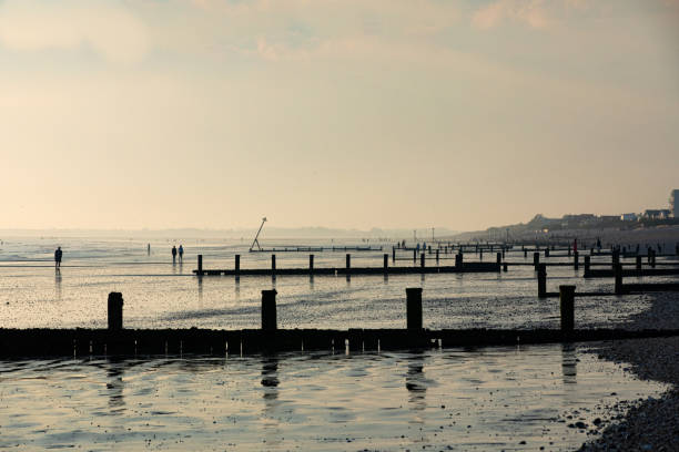 The wet sand reflects the sky and the wooden structures at low tide.