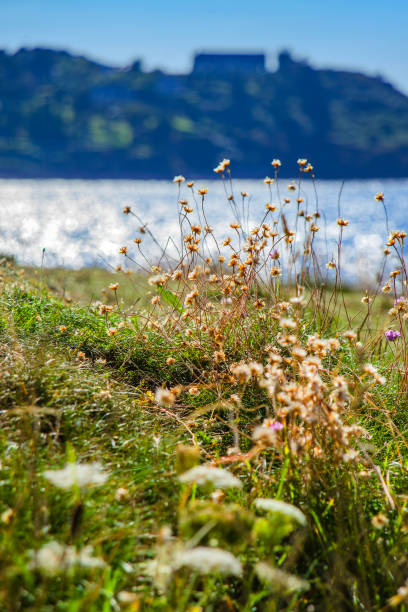 istock france brittany finistere armorican corniche amorique peninsula 2174407408