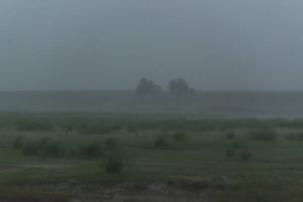 fog and heavy rainfall