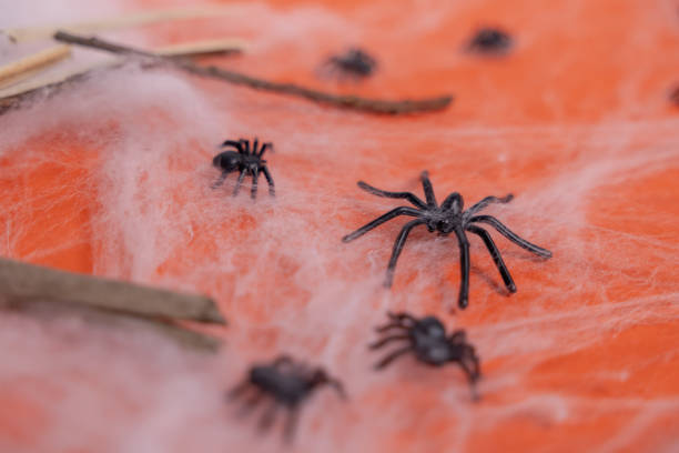 istock Close-up of spiders in a web on an orange background. 2174408298