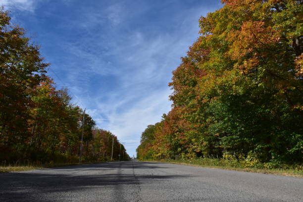istock The village road 2174416230