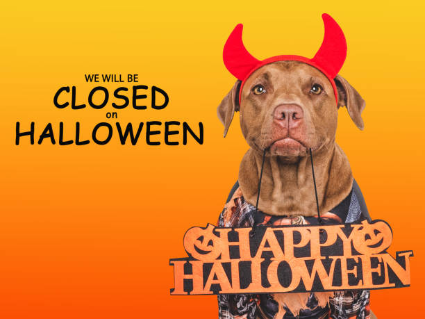 istock Signboard with the inscription We will be closed on Halloween 2174417696