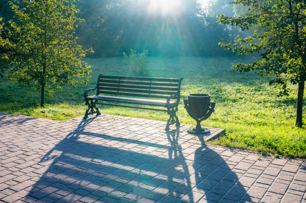 The lonely bench in the winter forest