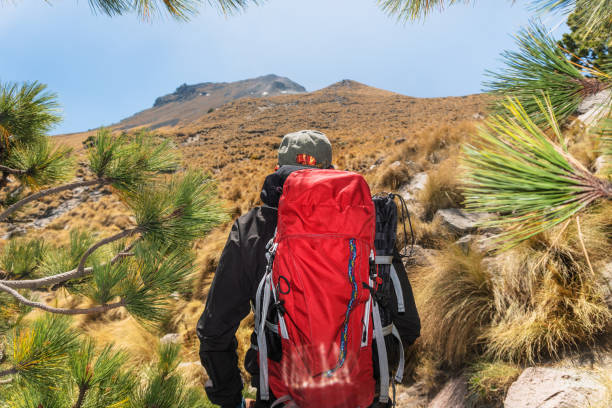 Hiker contemplating the mountain summit, with space for text