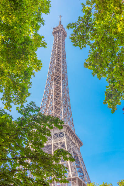 istock World famous Eiffel tower seen through green trees under a blue sky 2174427385
