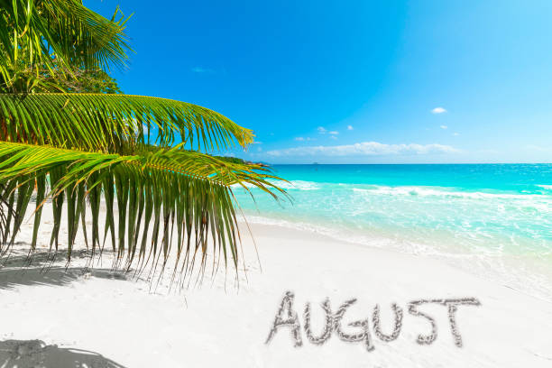istock August written on the sand in a tropical beach with a palm tree 2174427945